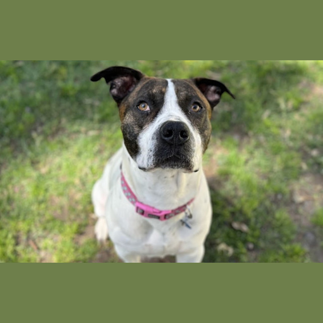 Photo of Chad