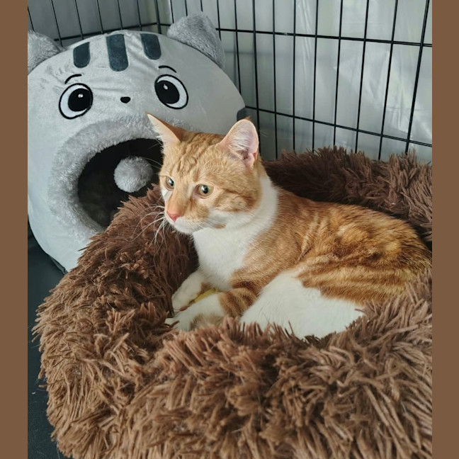 Photo of Chuey 