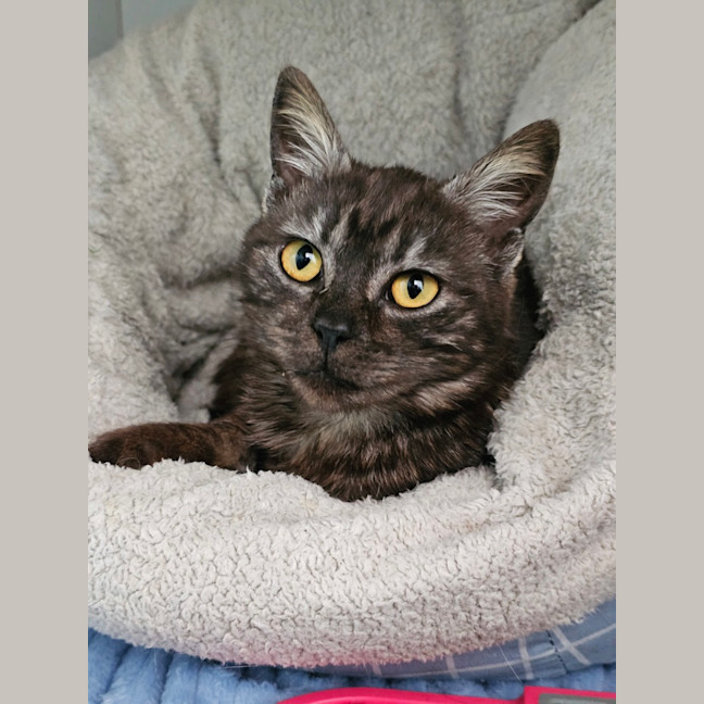 Photo of Pretty Woman