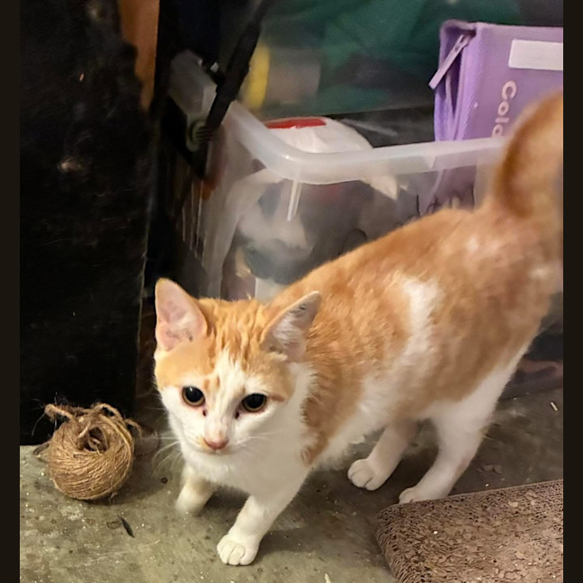 Photo of Dorothy (Dotty)