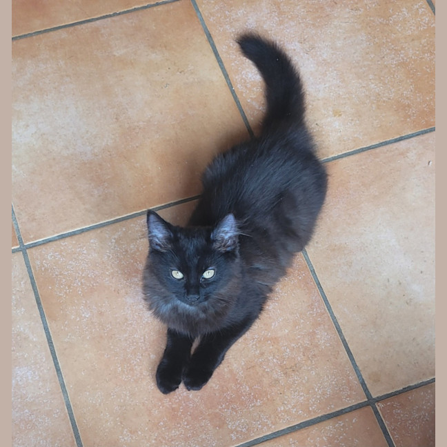 Photo of 💕 Joey Tribiani 💕