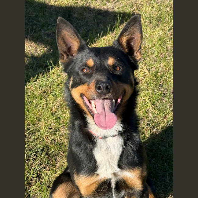Photo of Gus