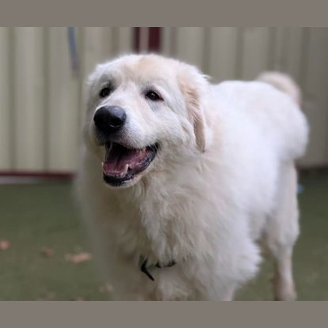 Photo of Zeus