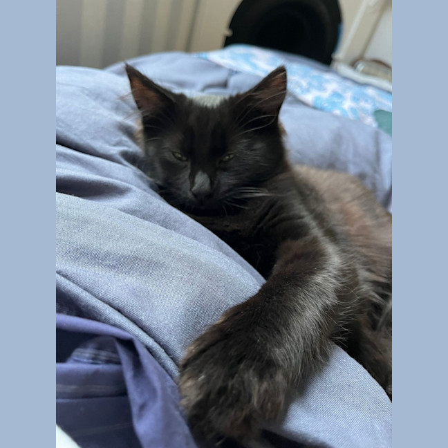 Photo of Wednesday
