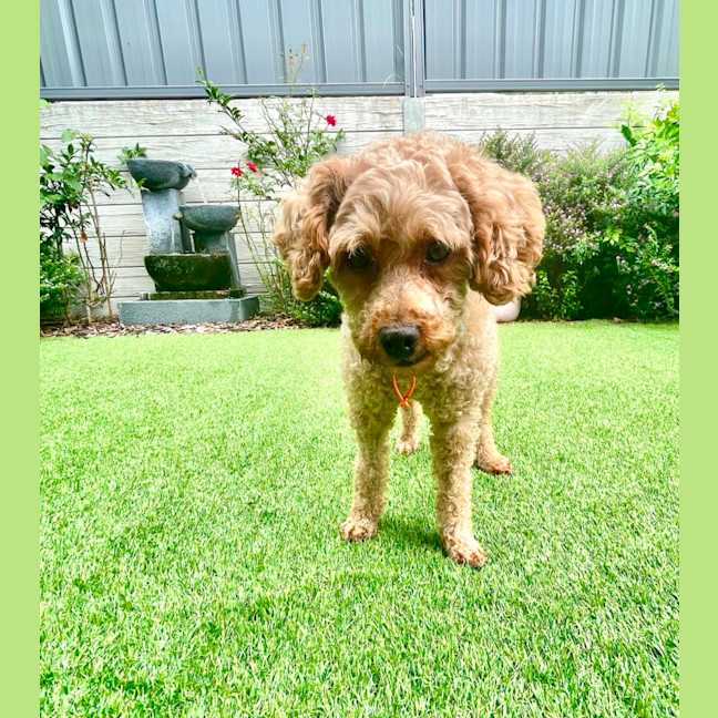 Photo of Lovely Murphy 