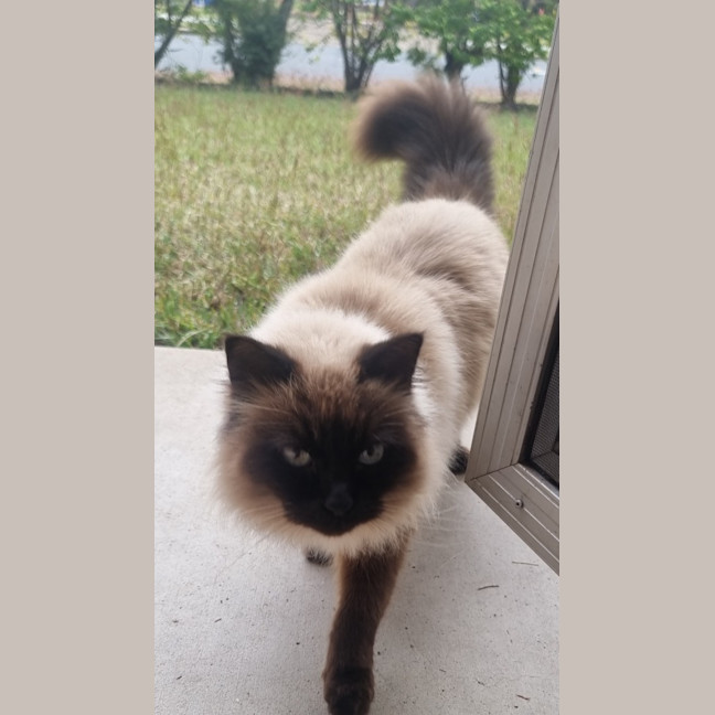 Photo of Lola