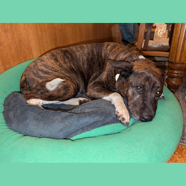 Photo of Lindy Lou