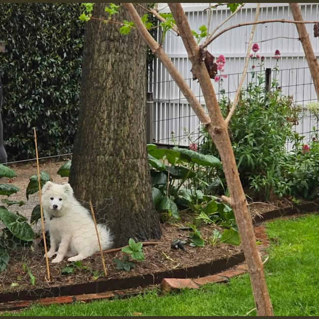 Photo of Yuki