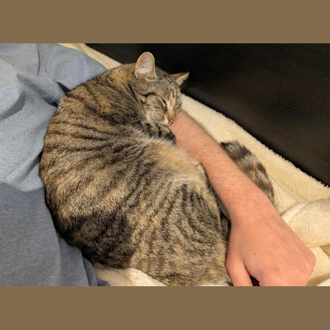 Photo of Hazel   In Foster Care In Brunswick East