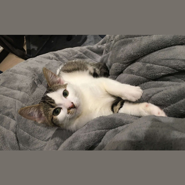 Photo of Mei