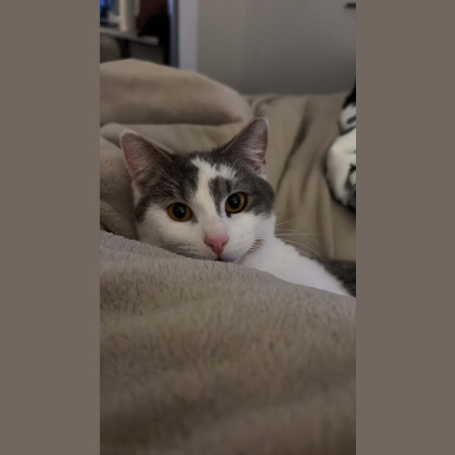 Photo of Alfie