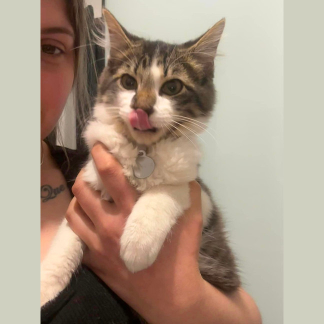 Photo of Optimus Prime