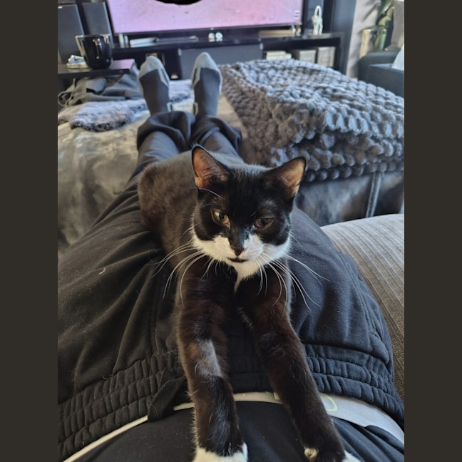 Photo of Billie
