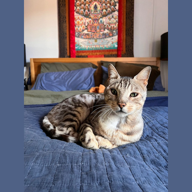 Photo of Marco