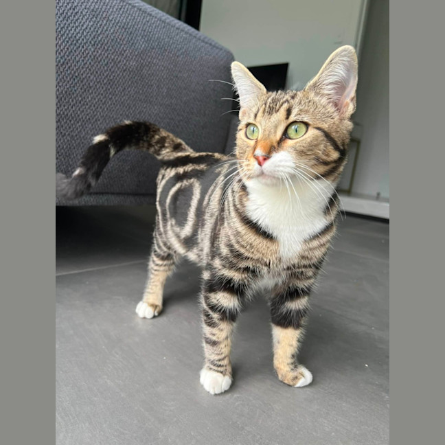 Photo of Little One