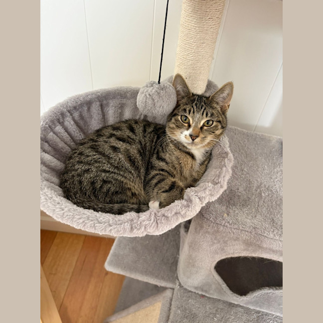 Photo of Billy Button