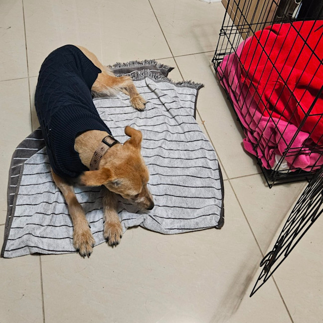 Photo of Betty