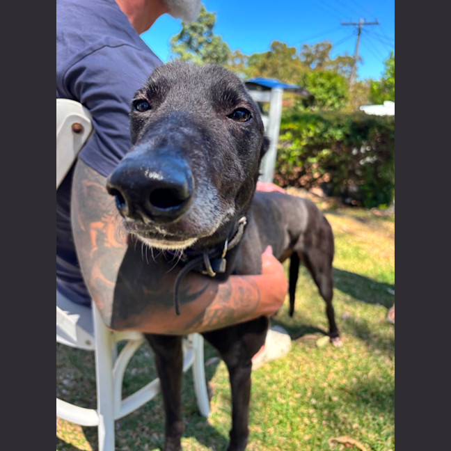 Photo of Spud