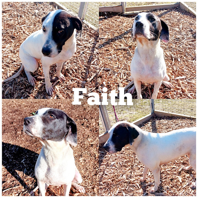Photo of Faith
