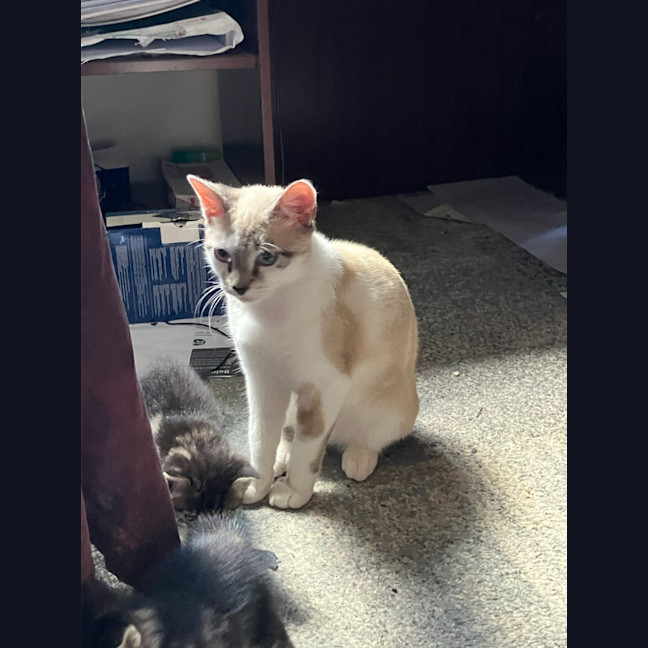 Photo of Ralphie♥️