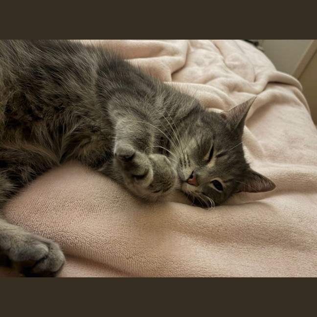 Photo of Beanie