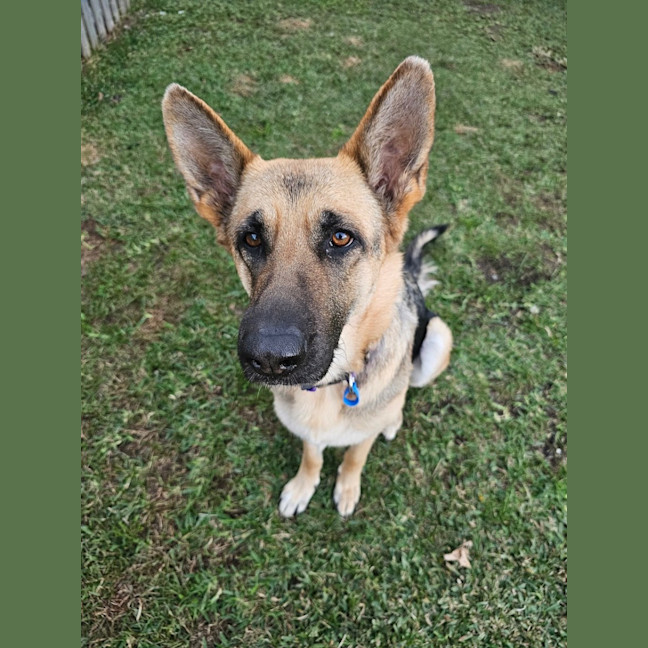 Photo of Luna
