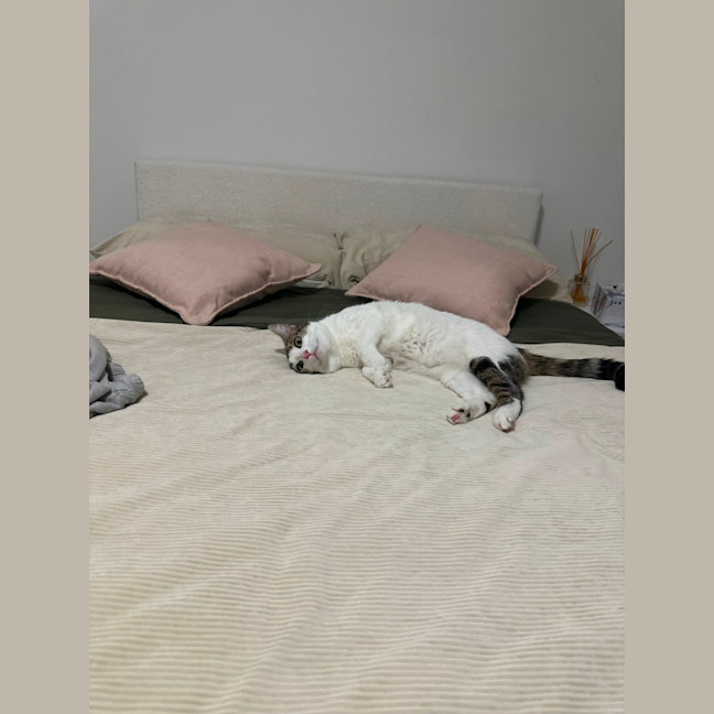Photo of Princess Snuggle Bum