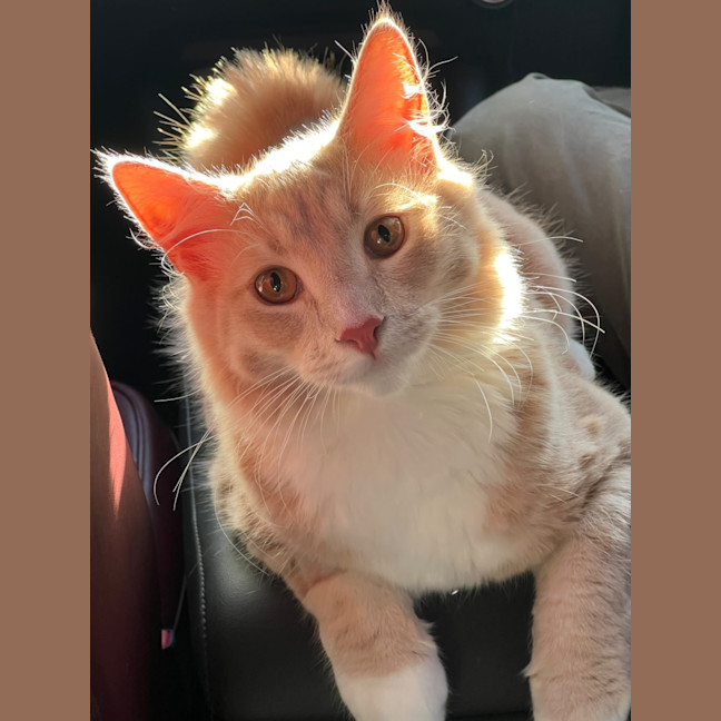 Photo of Arby