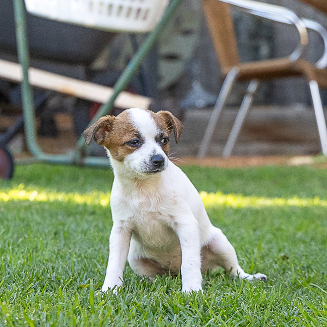 Photo of Ritz