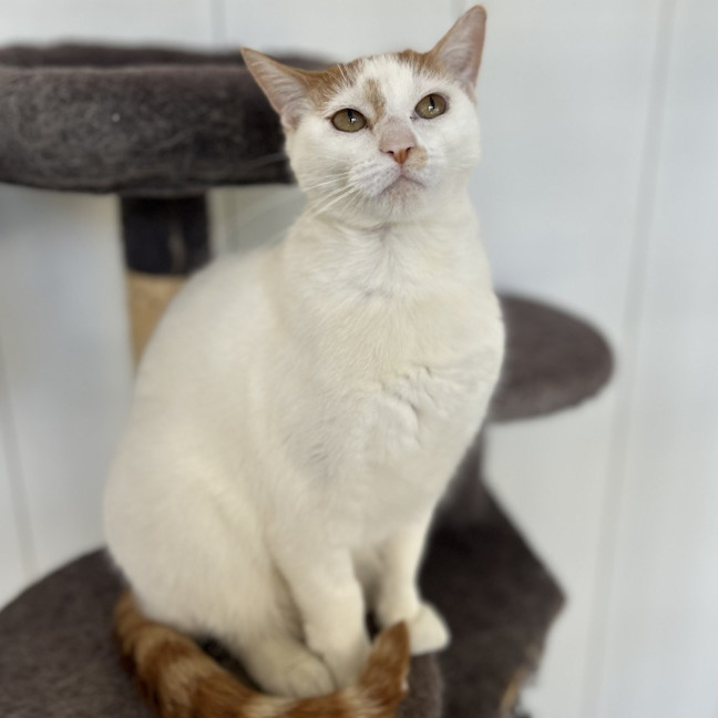 Photo of Pearl