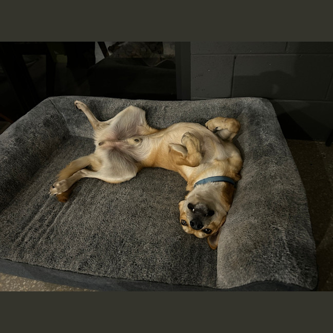 Photo of Sunny
