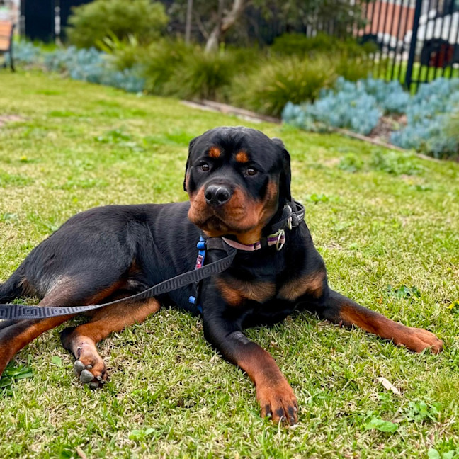Photo of Zeus
