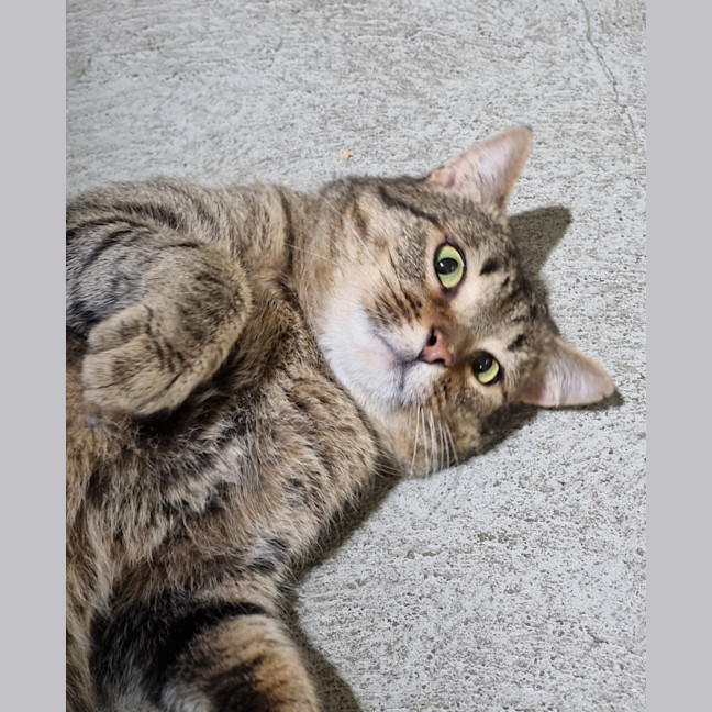 Photo of Gordon