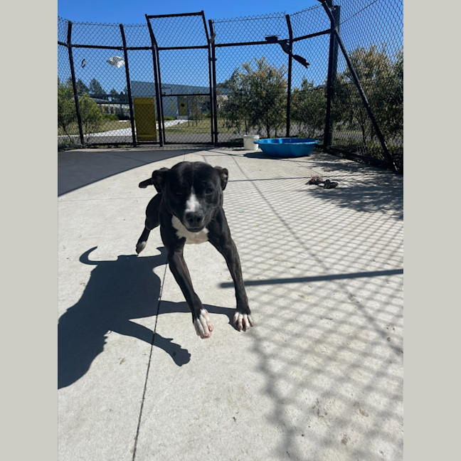 Photo of Enid Imp 1344