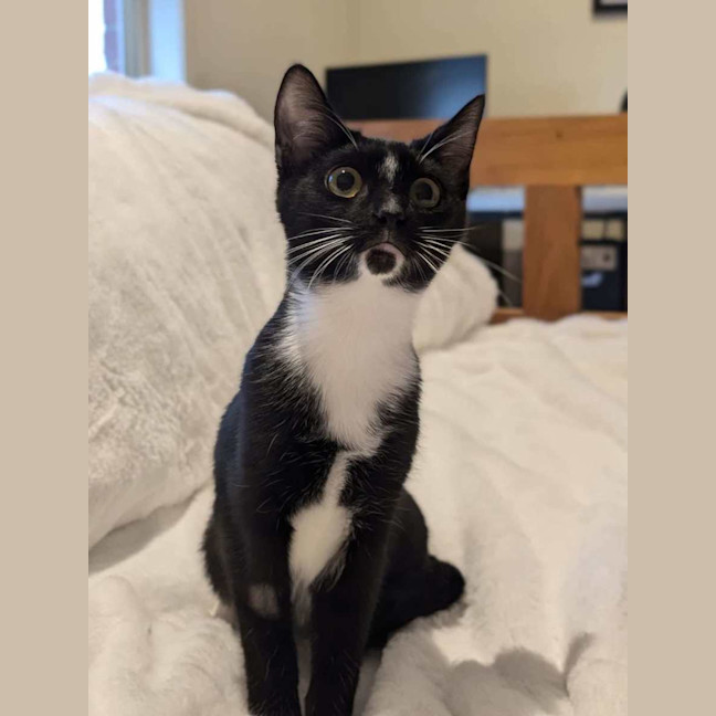 Photo of Felix