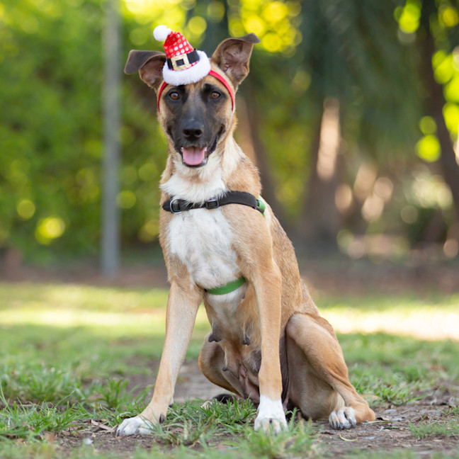 Photo of Wilma