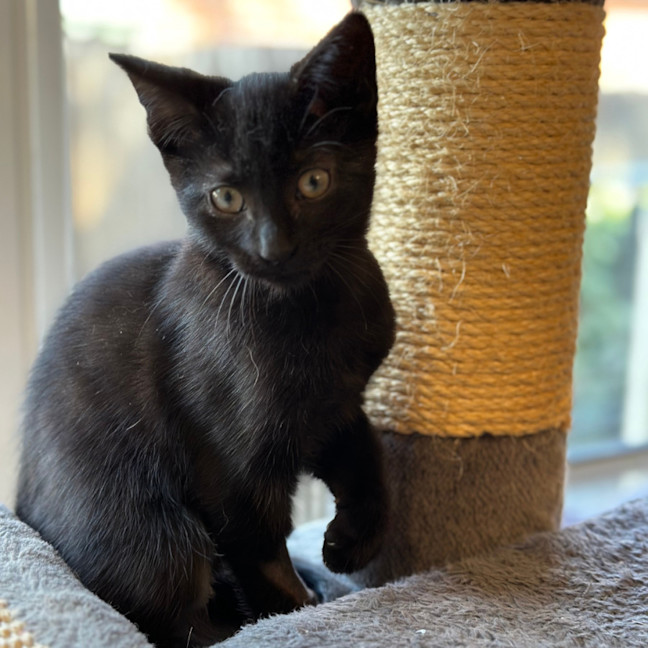 Photo of 🩷 Medina 🩷