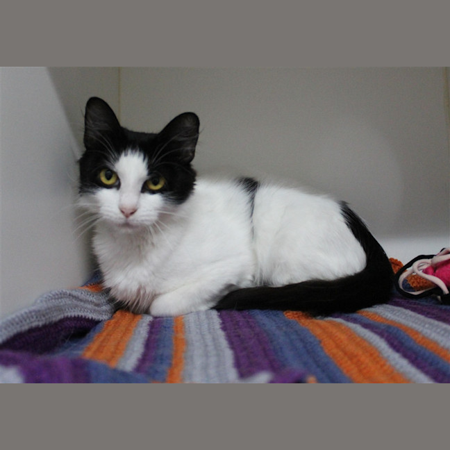 Photo of Sylvia