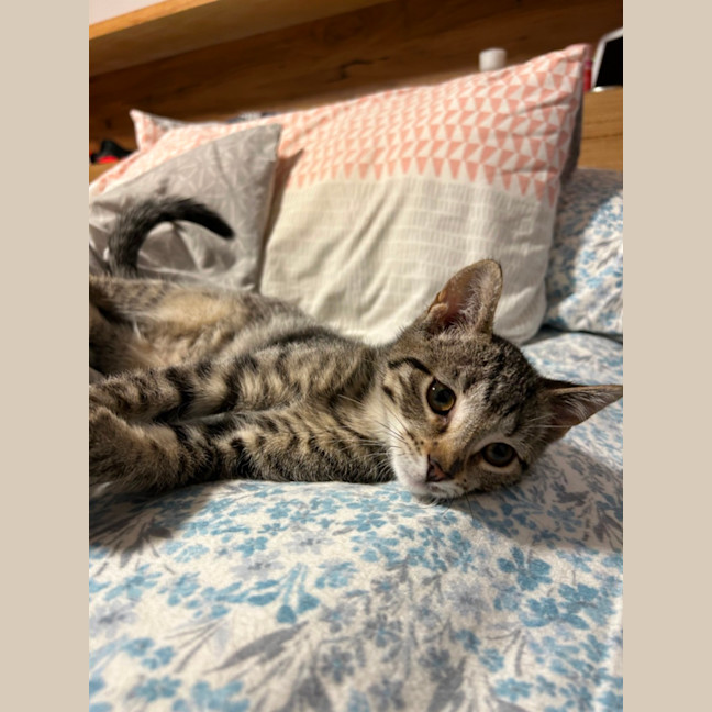 Photo of Emmy And Murphy