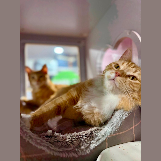 Photo of Zara And Leo