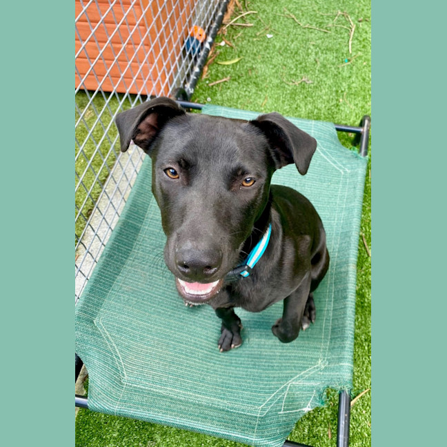 Photo of D1044 Marley