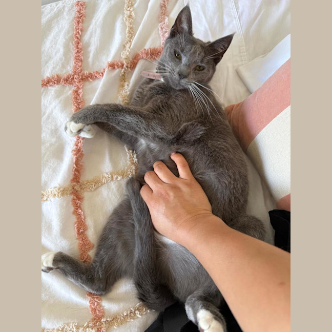 Photo of Gigi