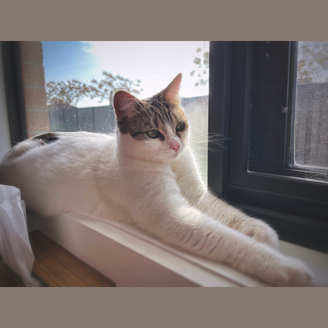 Photo of Chuba