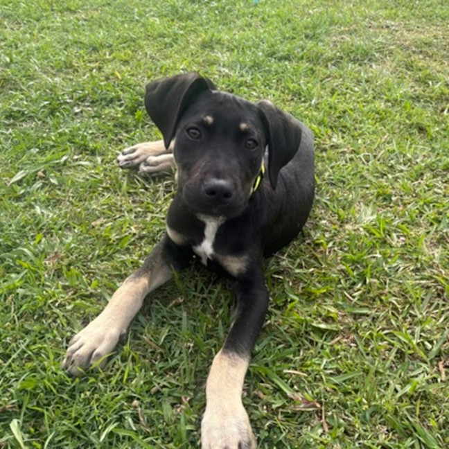 Photo of Ares