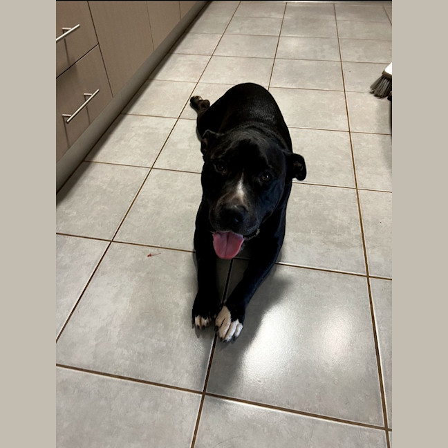 Photo of Oodie (Muggsy)