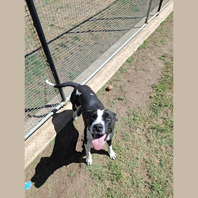 Photo of 121 Rhea