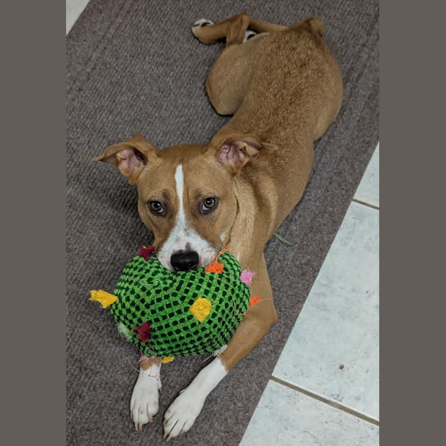 Photo of Reba & Asha