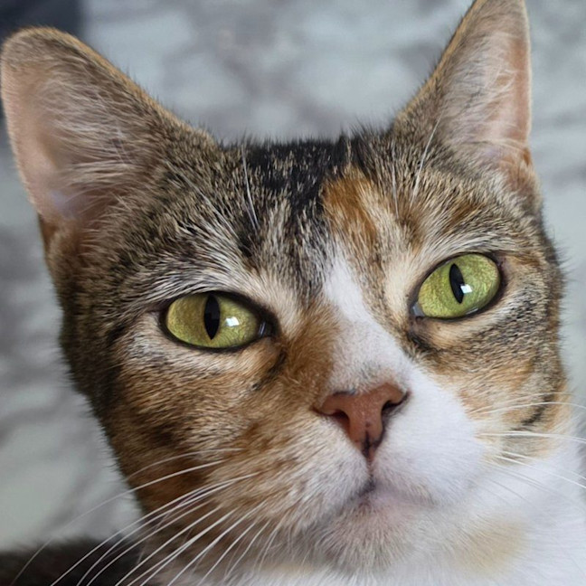 Photo of Rosie