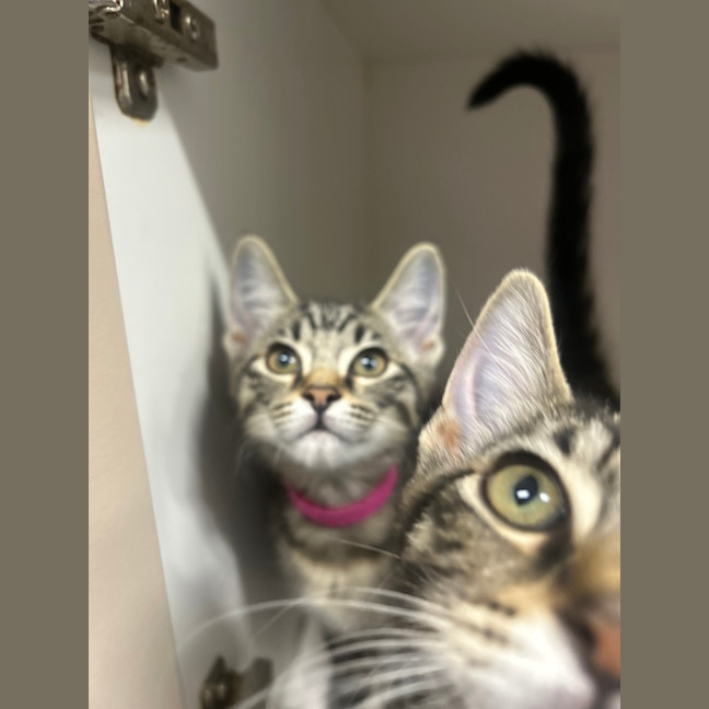Photo of Hana