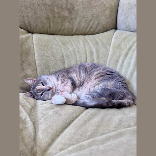 Photo of Susan Uffelman